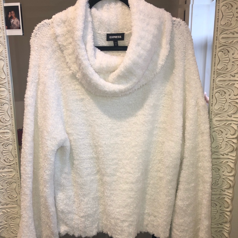 EXPRESS sweater